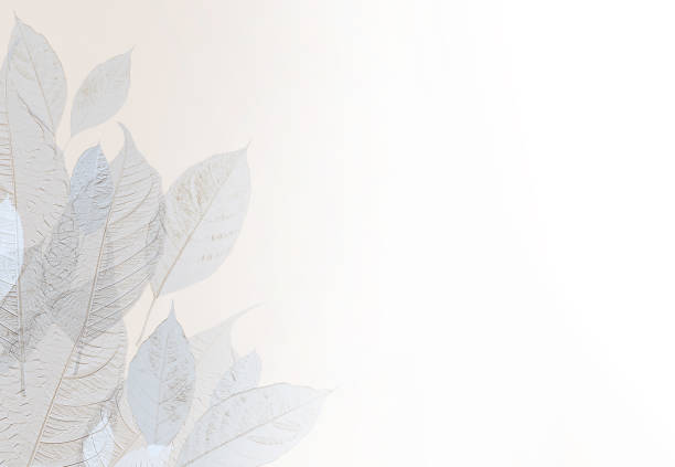 Close-up with multiple exposure of lemon tree leaves