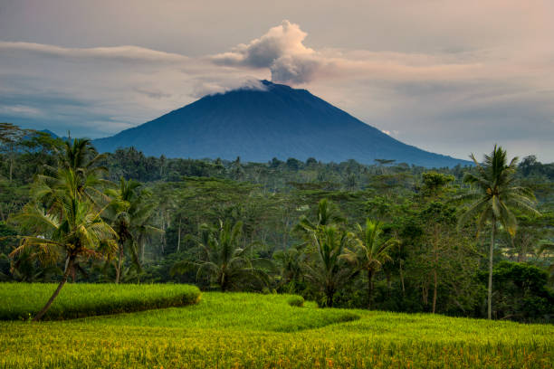 istock Sunrise at Looks siring Gianyar Bali 1184777223