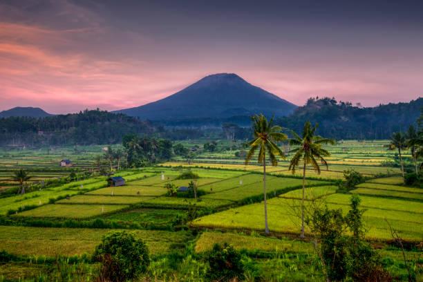 istock Sunrise at hill LOVE karangasem bali 1184777636
