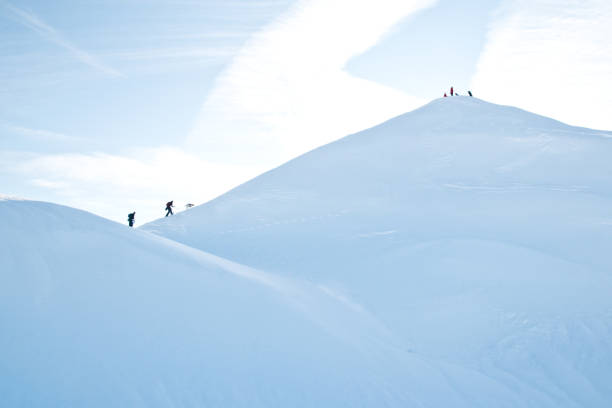istock Snowshoeing in Mt. Seymour in Vancouver 1184777672