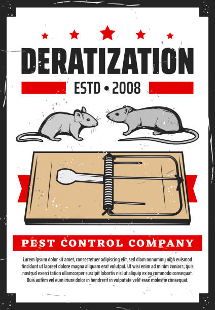 Deratization service, rodent rats extermination Rats pest control, deratization and rodent extermination service company vintage grunge poster. Vector domestic and office rats extermination, mousetraps and sanitary hygiene cleaning service office fogging stock illustrations