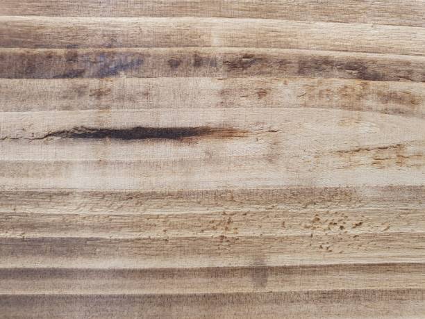 istock approach to wooden surface, background and texture 1184778353