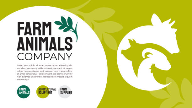 Farm animals company design template Vector illustrations of cow, pig, goat, chicken. Sign with farm animals. Brand identity design for agriculture, farming, livestock company. Template for banner, annual report, print, layout, flyer, web agricultural fair stock illustrations
