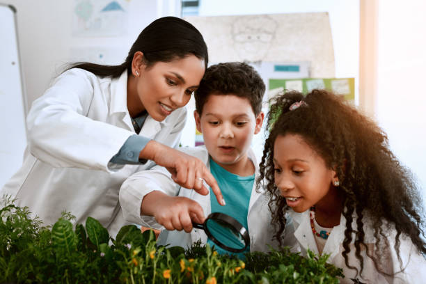 istock Something awesome is beginning to grow 1184778814