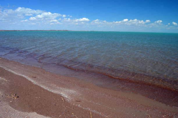 istock Balkhash lake, central Kazakhstan 1184779630