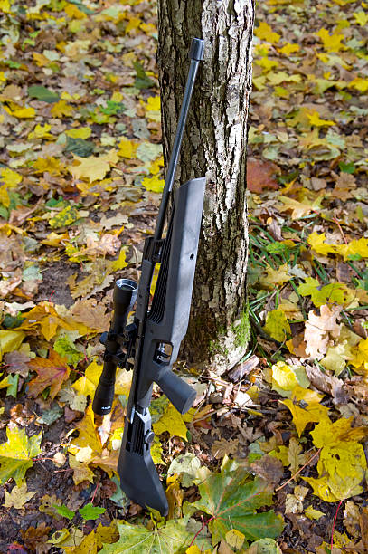 istock Gun pneumatic in autumn wood. 118478019