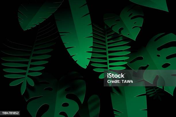 Paper Art Of Tropical Leaf On Black Stock Illustration - Download Image Now - Rainforest, Leaf, Backgrounds