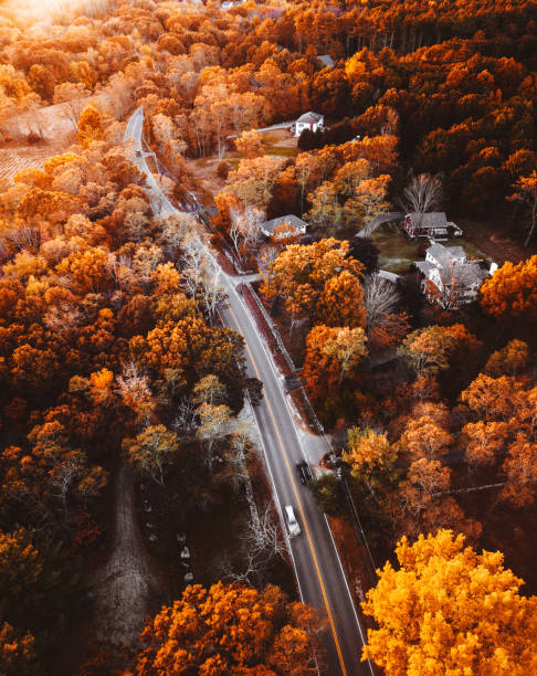 autumnal road in vermont