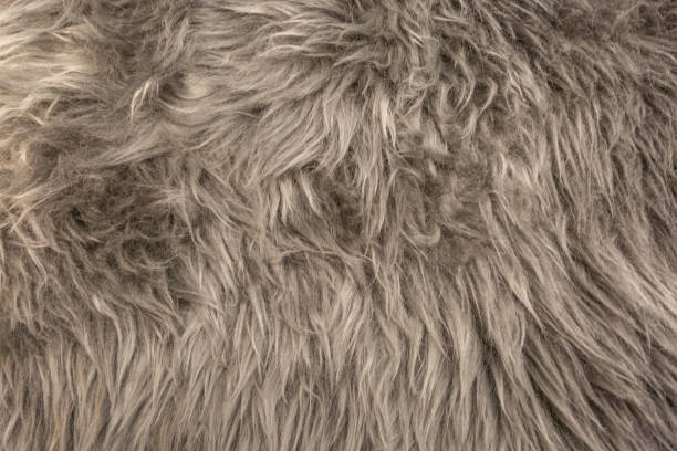 istock Tiled sheepskin wool, macro close up 1184784862