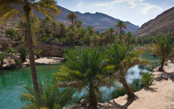 istock Oasis Wadi Bani Khalid, Sultanate Oman 1184787004