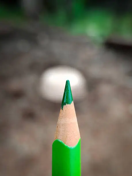 Close up macro shot of wooden green color pencil.