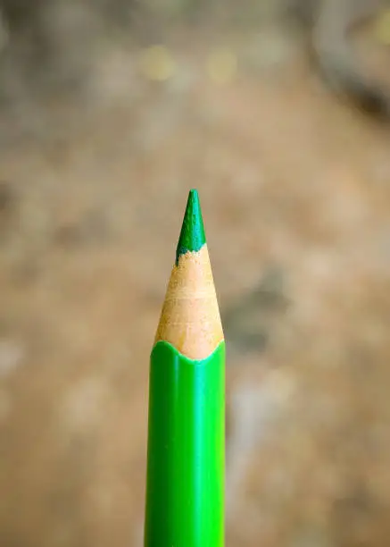 Close up macro shot of wooden green color pencil.