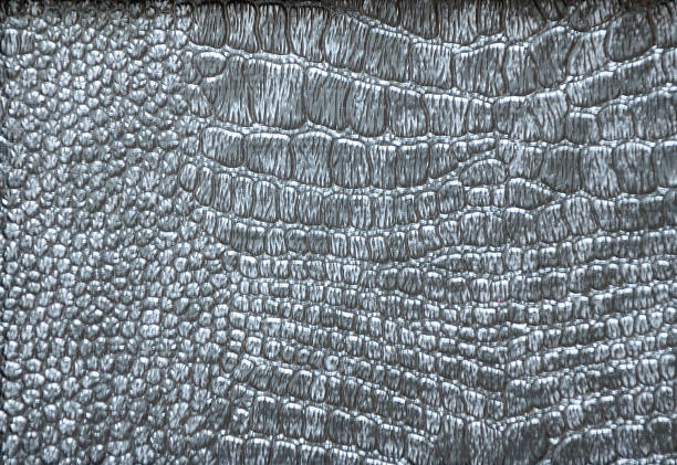 istock Black genuine leather reptile, natural pattern close-up. 1184791581
