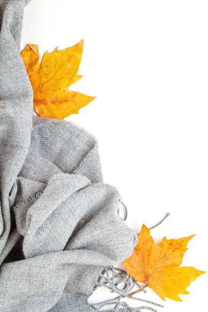 istock Flat lay autumn composition with leaves and a warm woolen scarf 1184793486