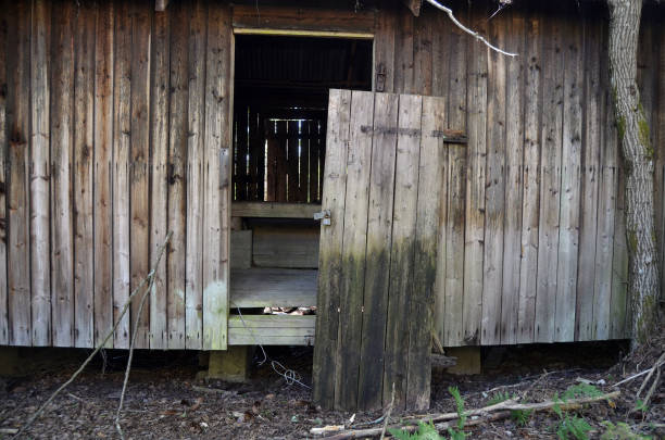 istock Ghost town.Scandinavia 1184793534