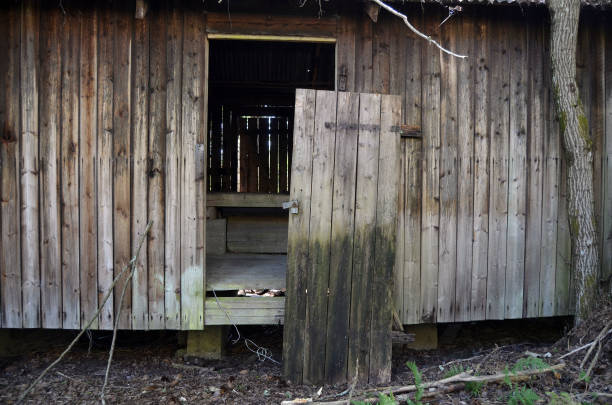 istock Ghost town.Scandinavia 1184793560