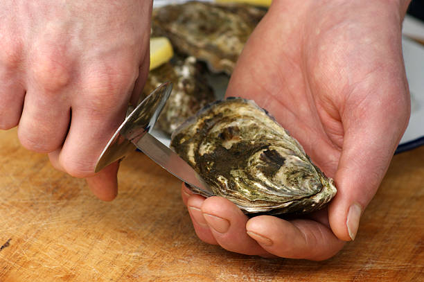 istock how to open one raw organic oyster 118479853