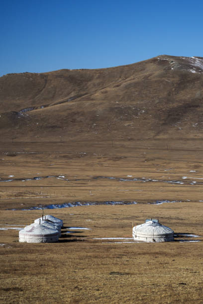 istock Mongolian Ger in Orkhon province 1184800343