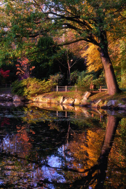 istock Szczytnicki Park Wroclaw 1184802606
