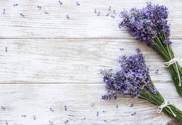 istock Fresh flowers of lavender 1184802729