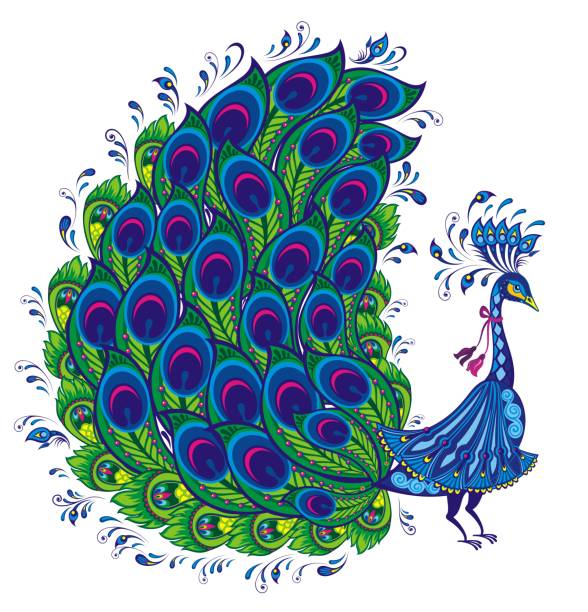 павлин. - pattern peacock multi colored decoration stock illustrations