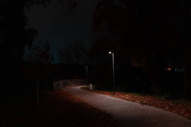 istock Little way in the night 1184804187