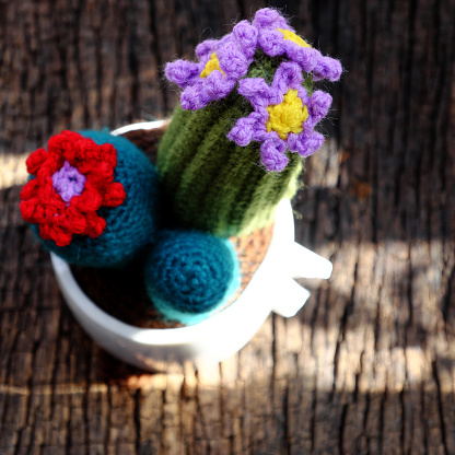Beautiful handmade product for decorate, cacti and cactus flower crochet from green yarn, ornament plant pot on outdoor table in morning sunlight