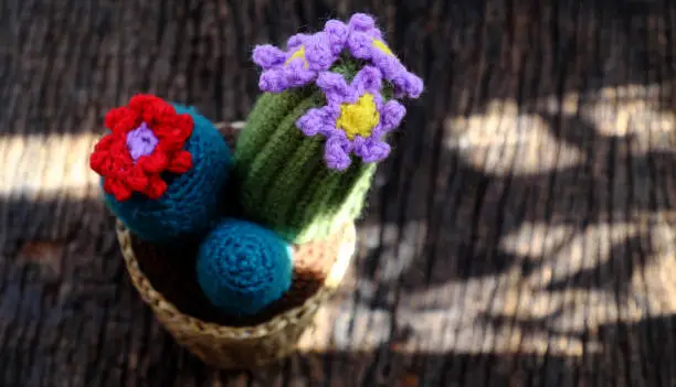 Beautiful handmade product for decorate, cacti and cactus flower crochet from green yarn, ornament plant pot on outdoor table in morning sunlight