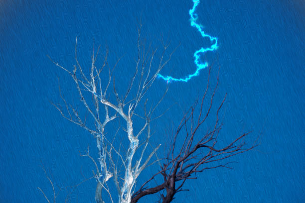istock a lightning strikes into the tree in desert during the severe rain and hurricane 1184804659