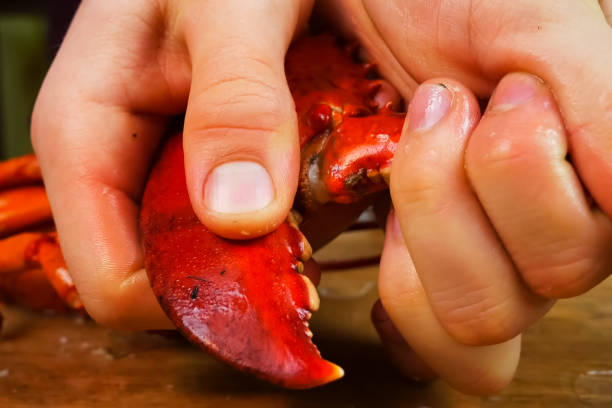 istock Butchering boiled lobster, cooked lobster 1184807242