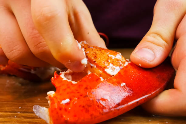istock Butchering boiled lobster, cooked lobster 1184807247