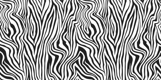 bezszwowe wektorowe czarno-białe paski zebry. stylowy nadruk dzikiej zebry. tło z nadrukiem zwierzęcym do tkanin, tekstyliów, wzorów, okładek itp. - animal herbivorous wildlife horizontal stock illustrations