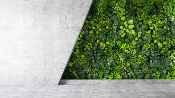 Vertical Garden with Empty Wall Vertical Garden with Empty Wall. 3d Render ivy leaf stock pictures, royalty-free photos & images