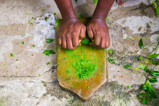 un médico-hombre moliendo hojas de neem y cúrcuma para hacer medicina - ayurveda herb alternative medicine herbal medicine fotografías e imágenes de stock
