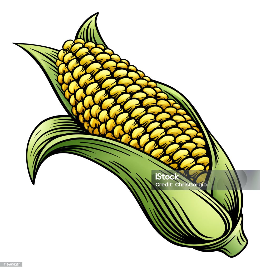 Sweet Corn Ear Maize Khắc Gỗ Minh Họa Hình minh họa Sẵn có - Tải ...