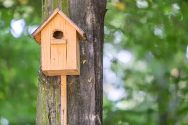 Yellow wooden bird house on a tree trunk in green park outdoors.