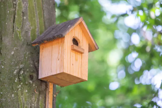 Yellow wooden bird house on a tree trunk in green park outdoors.