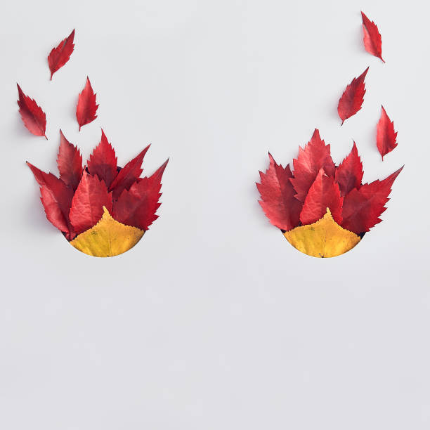 Colorful elm leaves flat lay. Abstract halloween evil mask isolated on white background. Red and golden tree foliage, vivid forest leafage on paper. Bonfire concept. Autumn season flora idea
