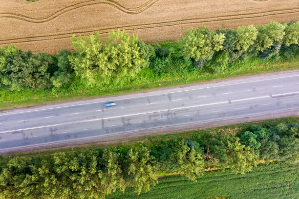 istock Aerial view of a road between yellow wheat fields and green trees. 1184823028