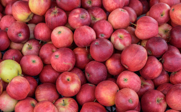 istock Fruits in a street market. 1184823738
