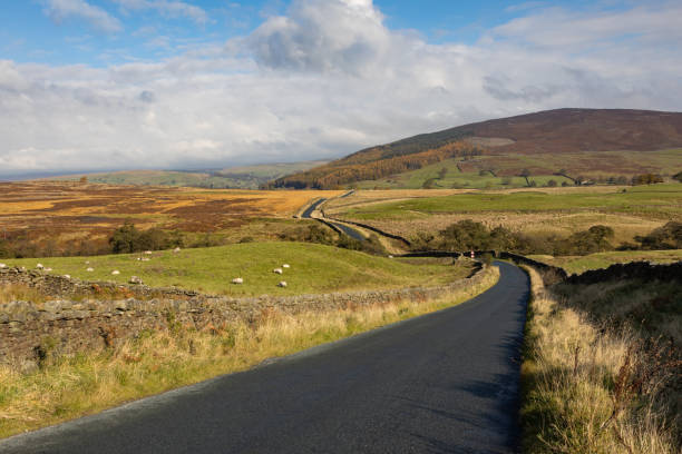 istock Winding road in the Yorkshire dales 1184826426