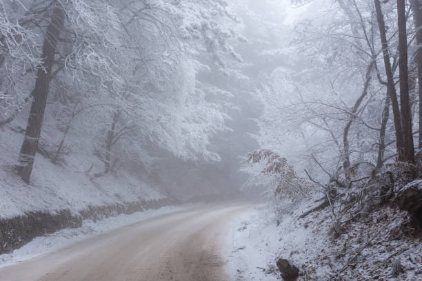 istock Road in winter snow-covered forest 1184827874