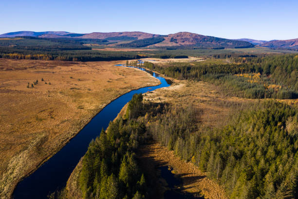 Aerial view of a river running through a remote area of south west Scotland A slow moving river in an area of forest in rural Dumfries and Galloway on a bright sunny autumn morning. A range of hills can be seen in the distance. Galloway Hills stock pictures, royalty-free photos & images