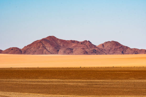 istock Landscapes of Namibia 1184828138