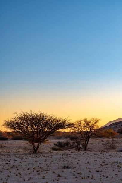 istock Landscapes of Namibia 1184828806