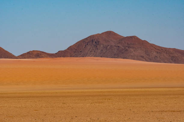 istock Landscapes of Namibia 1184829076