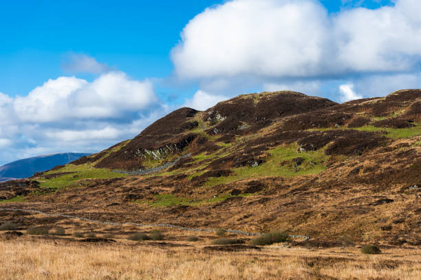 istock Remote uncultivated rural scene in Dumfries and Galloway 1184829569