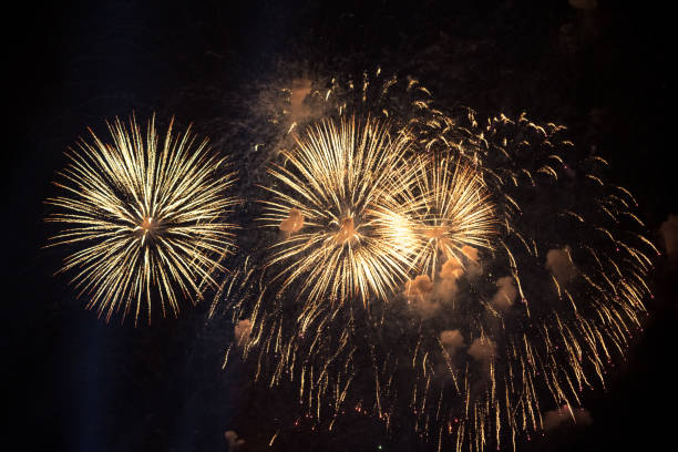 istock Fireworks against the night sky 1184829925