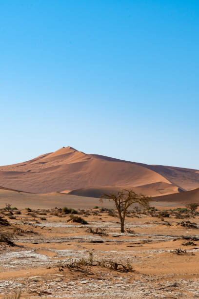 istock Landscapes of Namibia 1184829950