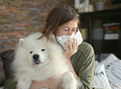 Animal allergy (dog)